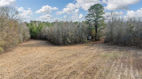 Vacant Land For Sale - 00 Brush Creek Dr.<br/> Hale County, Akron, AL 35441