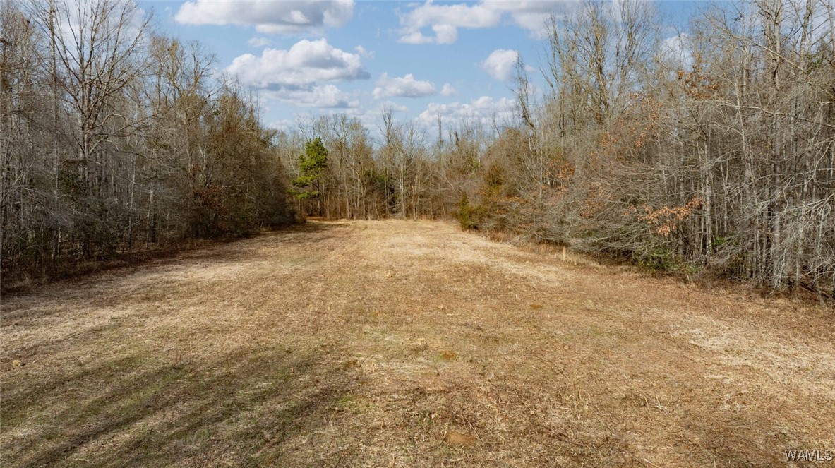 00 Brush Creek Dr., Akron, Alabama image 48