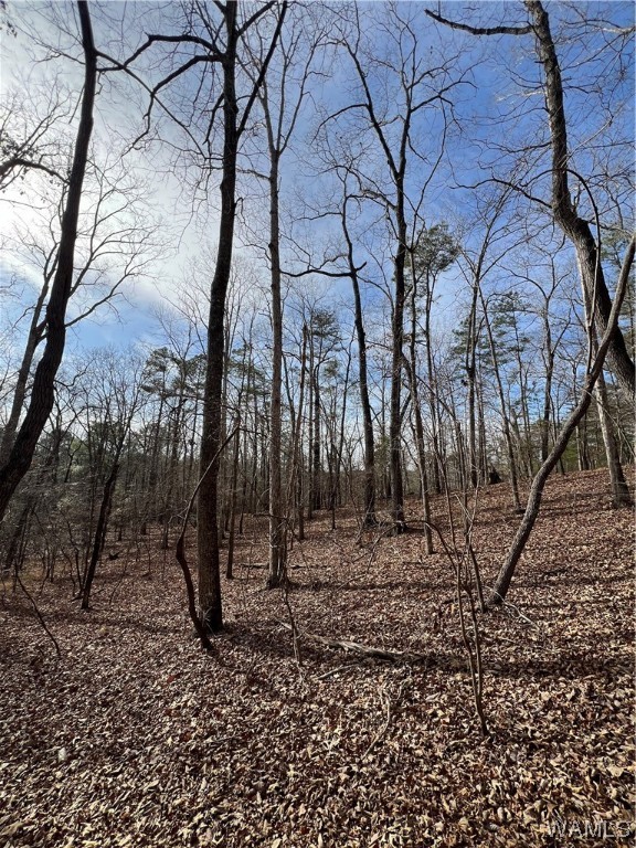 Watercrest Drive #24, North Port, Alabama image 8