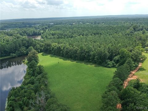 Vacant Land For Sale - Hwy 51<br/> Greensboro, AL 36744