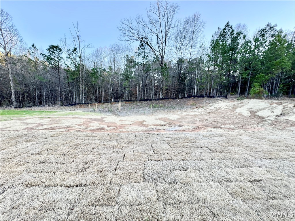 5941 73rd Place, Cottondale, Alabama image 25