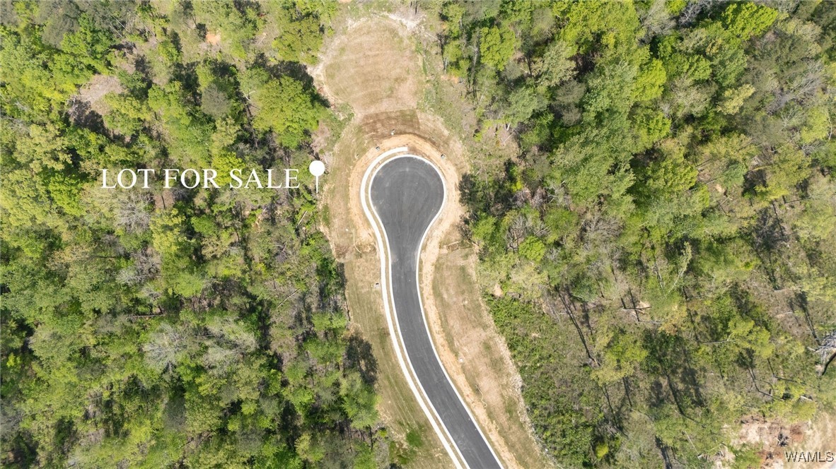 89 Cyprus Cove, Tuscaloosa, Alabama image 3