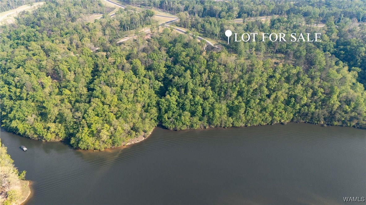 89 Cyprus Cove, Tuscaloosa, Alabama image 1