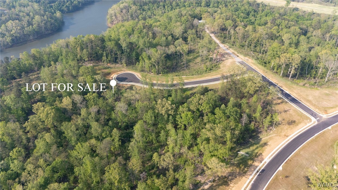 89 Cyprus Cove, Tuscaloosa, Alabama image 4