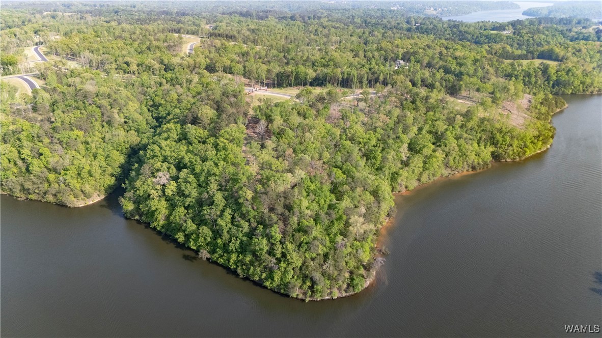 89 Cyprus Cove, Tuscaloosa, Alabama image 9