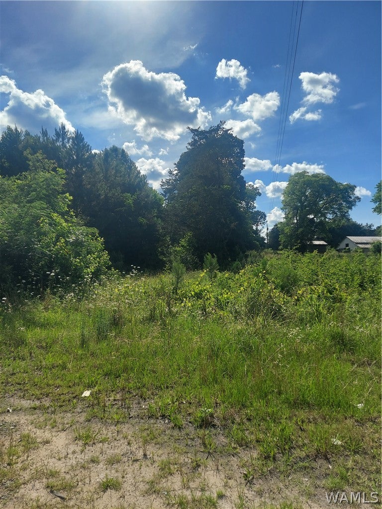 22573 Highway 43 N