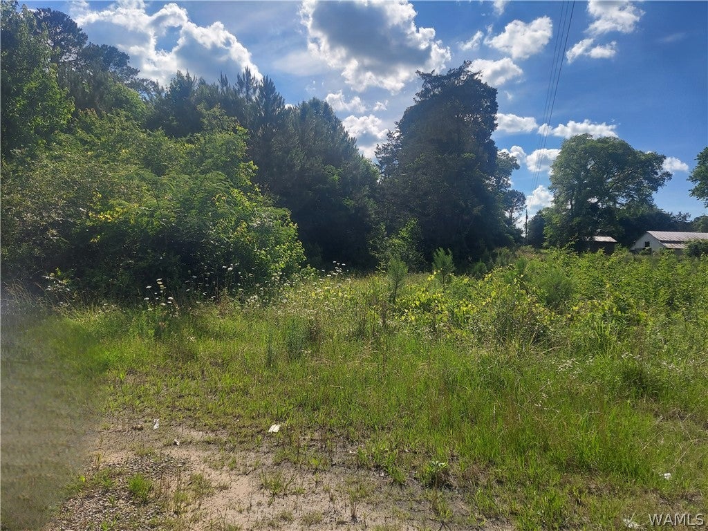 22573 Highway 43 N
