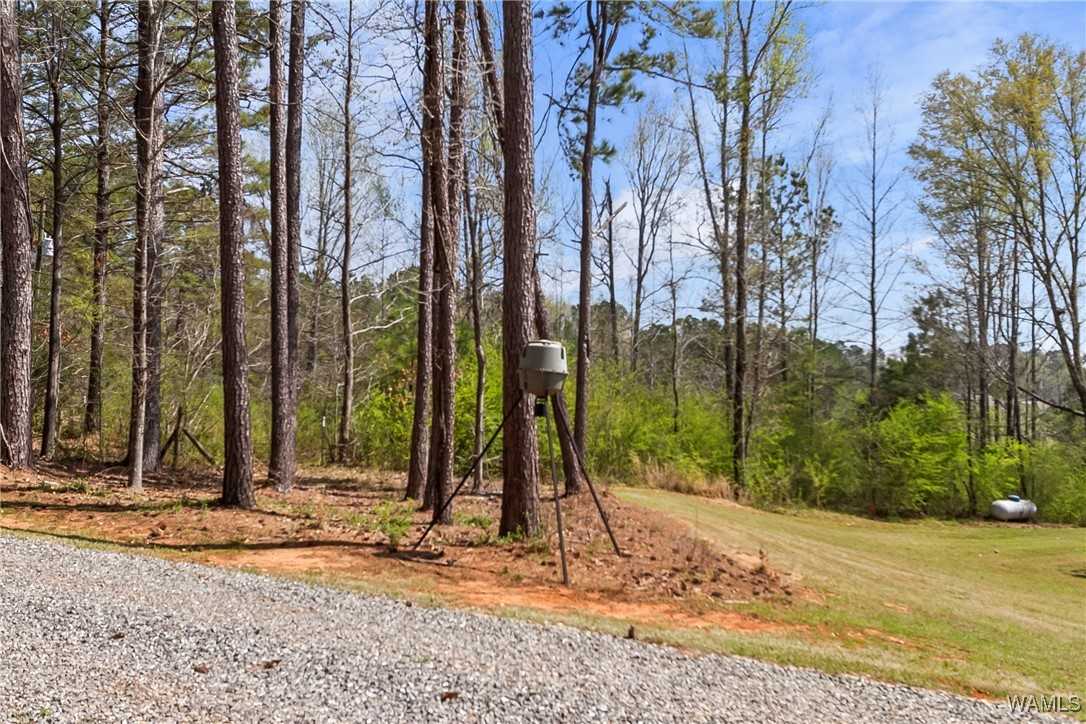 13376 Old Cove Road, North Port, Alabama image 49
