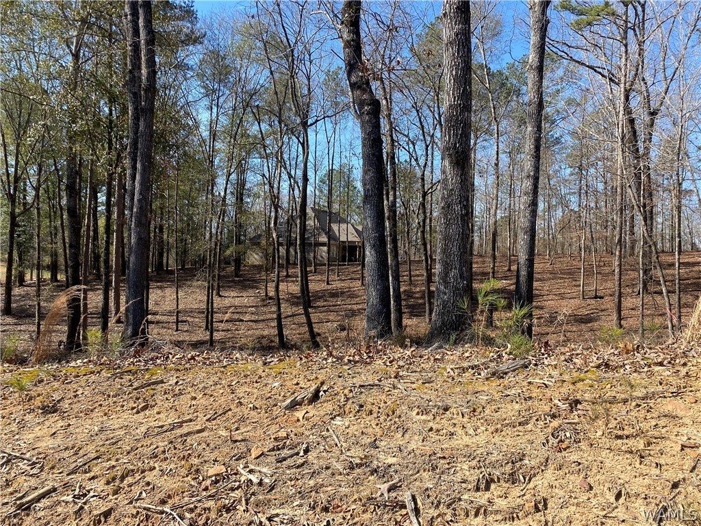 LOT#2 Edgewater Drive, North Port, Alabama image 3