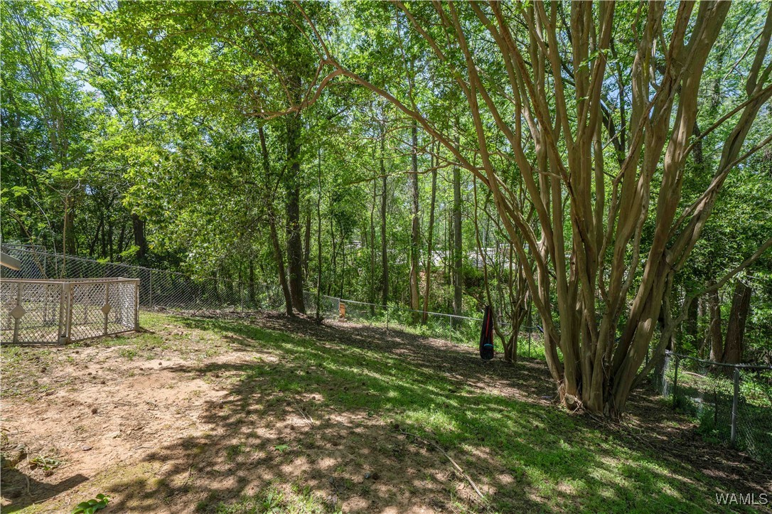 14036 Adams Drive, North Port, Alabama image 25