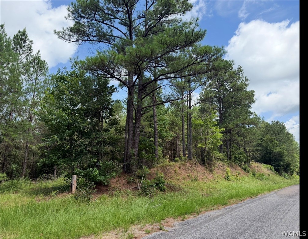 Photo 1 of 6 — 0 County Road 100, Fayette, AL 35555