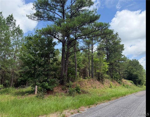 Vacant Land For Sale - County Road 100<br/> Fayette, AL 35555