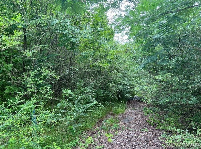Rock Castle Lane, Vance, Alabama image 1