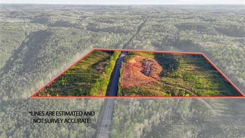 Vacant Land For Sale - Highway 269<br/> Walker County, Parrish, AL 35580