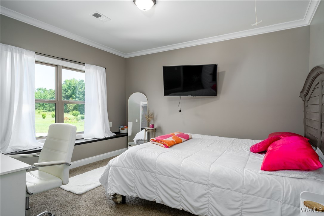 12030 Orlea Lane, North Port, Alabama image 30