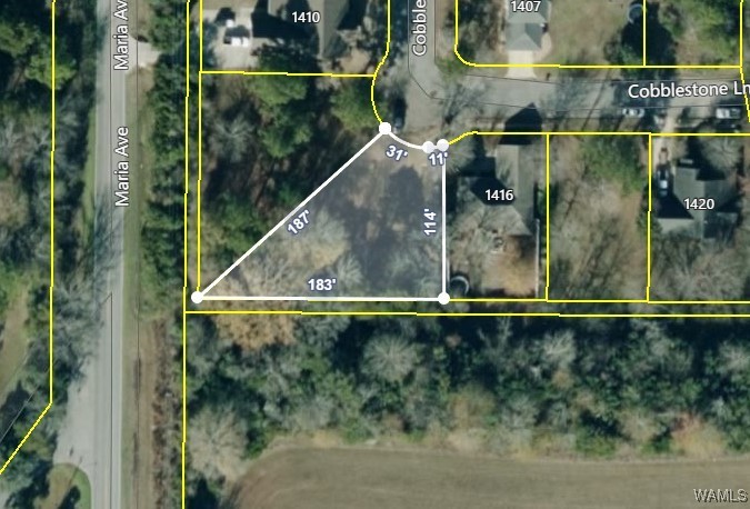 00 Cobblestone Lane, Demopolis, Alabama image 2