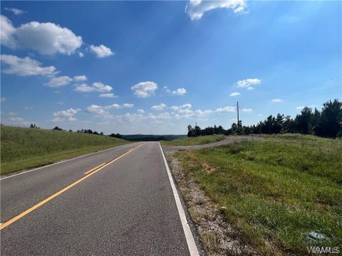 Vacant Land For Sale - Paradise Lane<br/> Tuscaloosa County, Brookwood, AL 35444