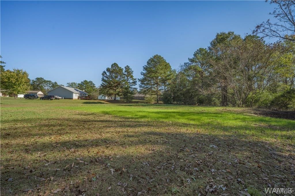 14198 Dairy Barn Road, Cottondale, Alabama image 29