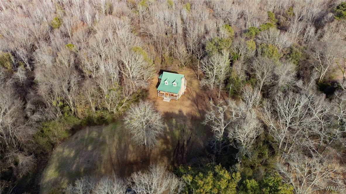 Brush Creek Dr., Akron, Alabama image 18