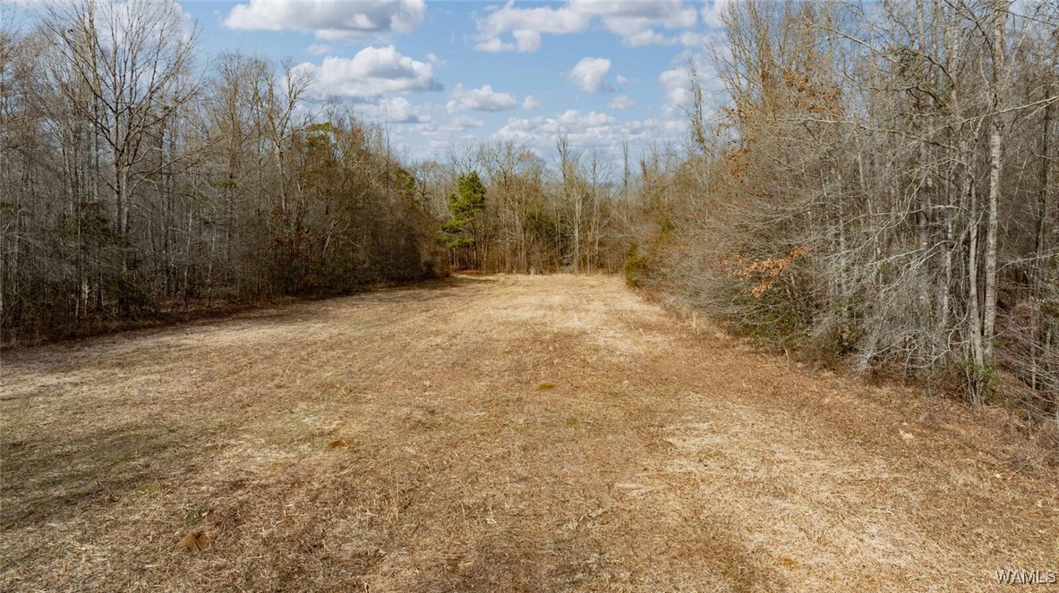 Brush Creek Dr., Akron, Alabama image 49