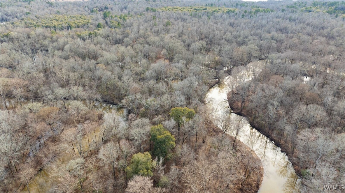 Brush Creek Dr., Akron, Alabama image 38