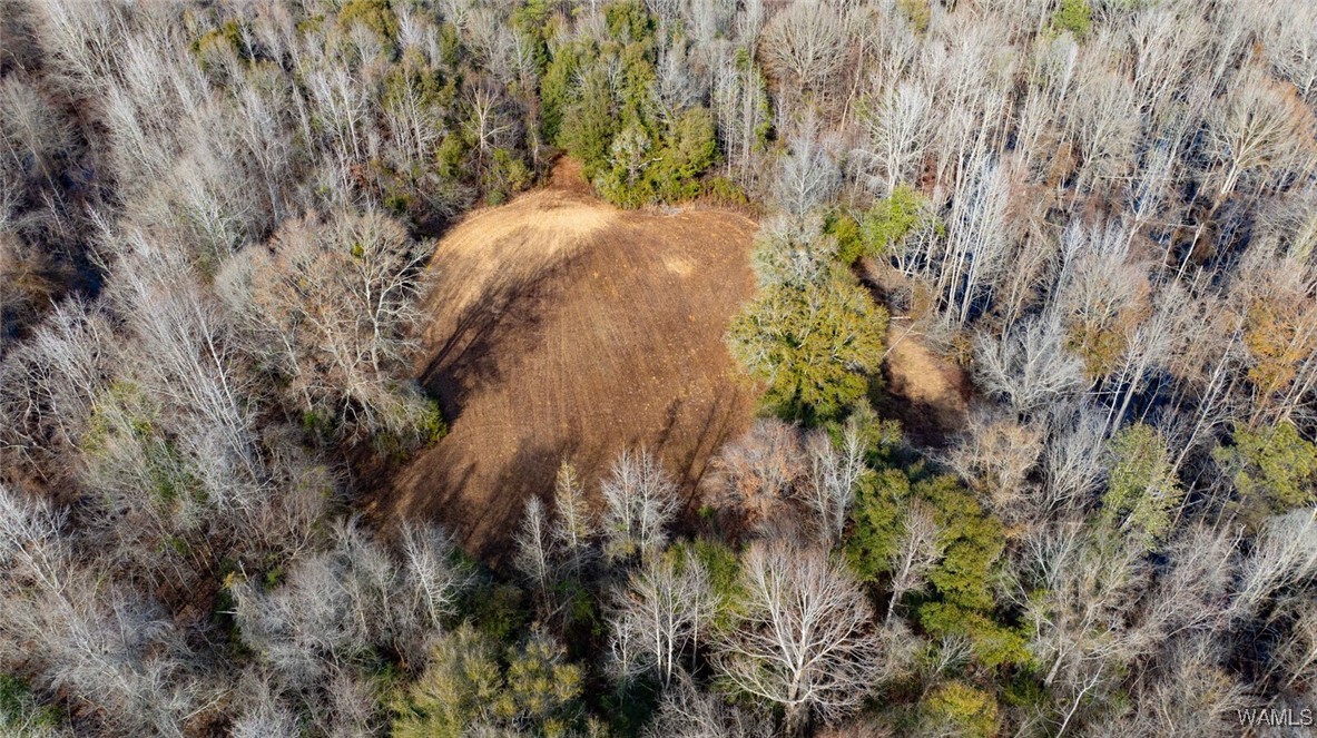 Brush Creek Dr., Akron, Alabama image 41