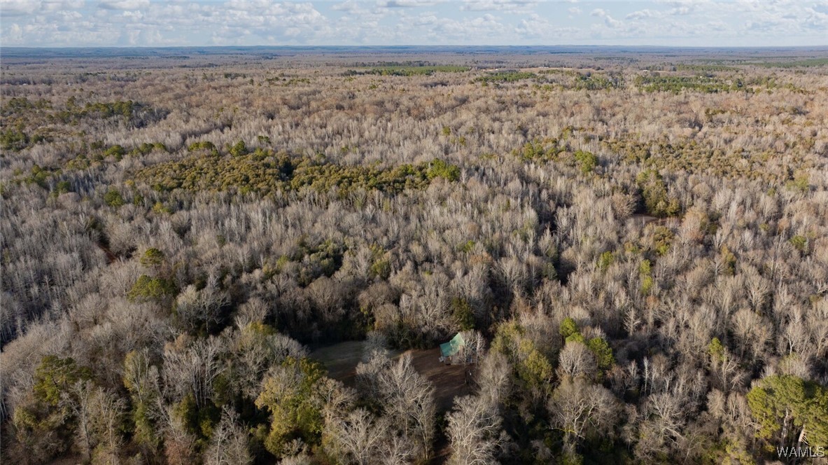 Brush Creek Dr., Akron, Alabama image 21