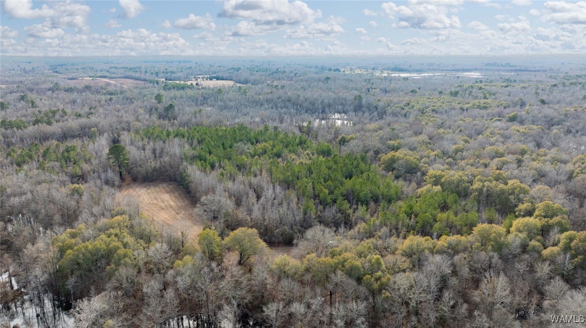 Brush Creek Dr., Akron, Alabama image 32