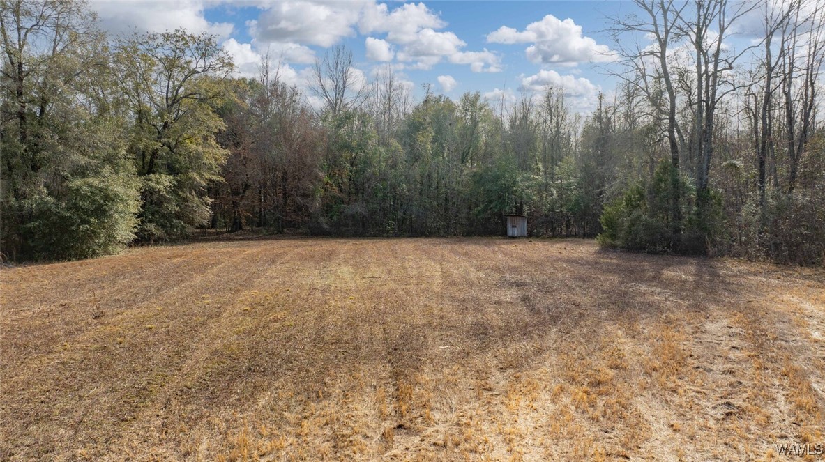 Brush Creek Dr., Akron, Alabama image 42