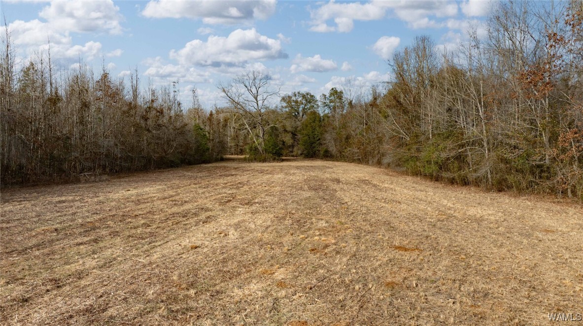 Brush Creek Dr., Akron, Alabama image 28