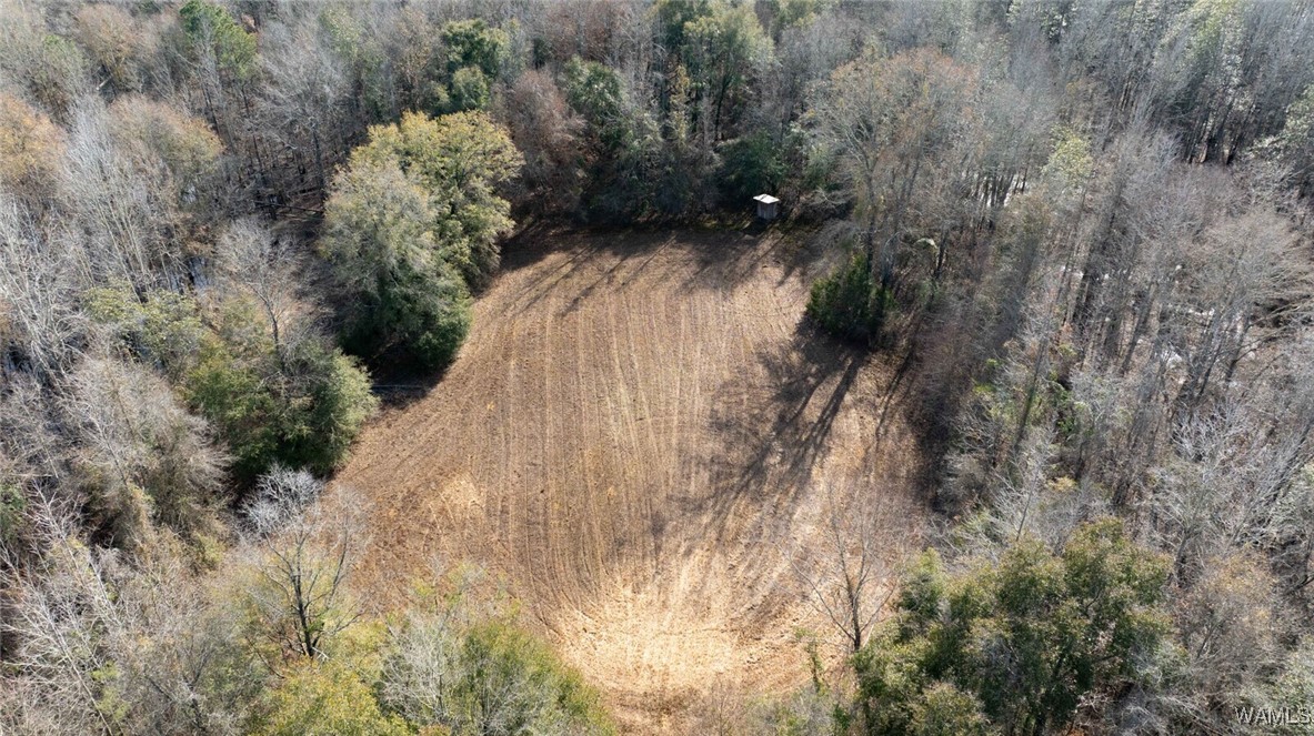 Brush Creek Dr., Akron, Alabama image 46