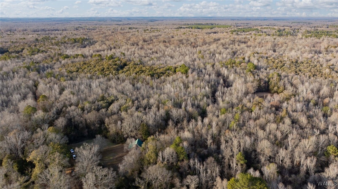 Brush Creek Dr., Akron, Alabama image 20