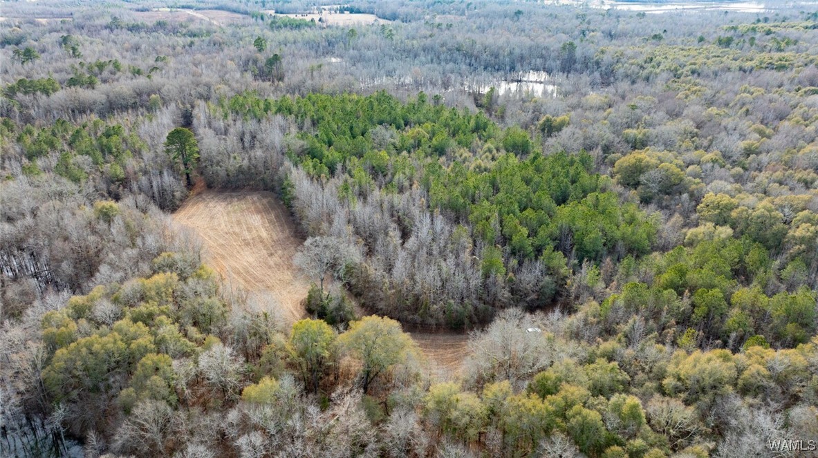 Brush Creek Dr., Akron, Alabama image 33