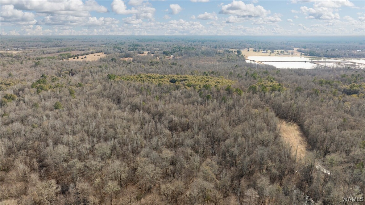 Brush Creek Dr., Akron, Alabama image 48