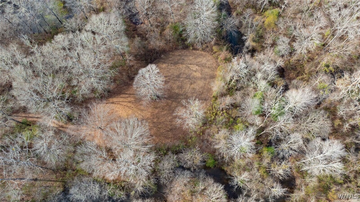 Brush Creek Dr., Akron, Alabama image 40