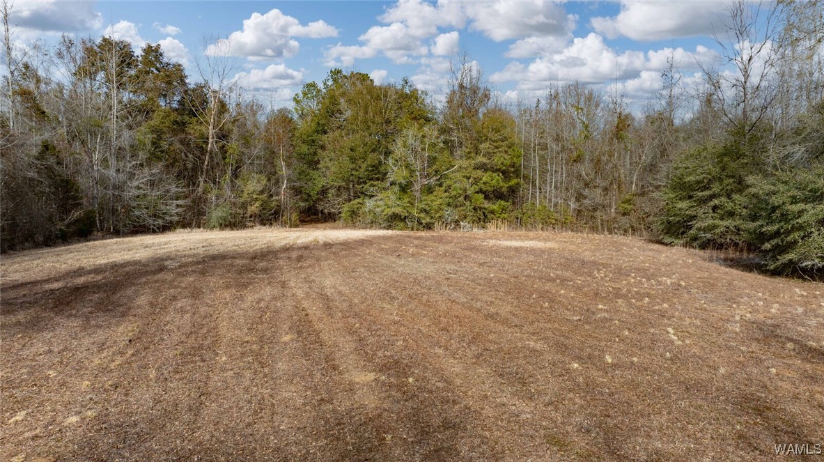 Brush Creek Dr., Akron, Alabama image 43