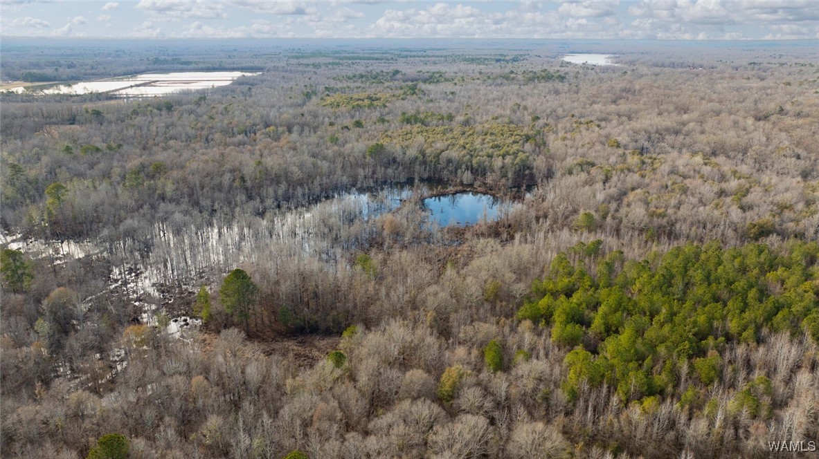 Brush Creek Dr., Akron, Alabama image 27