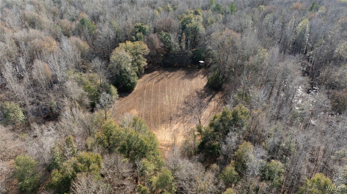 Brush Creek Dr., Akron, Alabama image 47