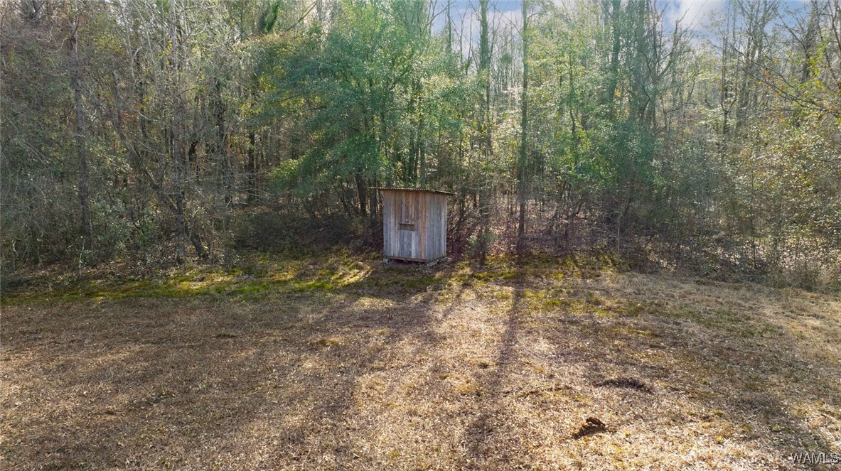 Brush Creek Dr., Akron, Alabama image 45