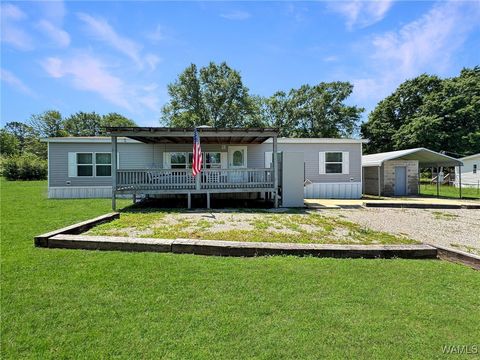 234 Broad Leaf Circle Moundville AL 35474