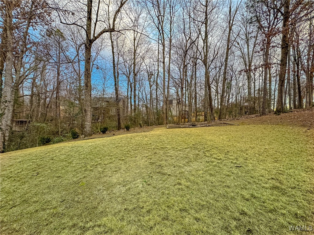 1851 Russet Woods Lane Ln, Hoover, Alabama image 29