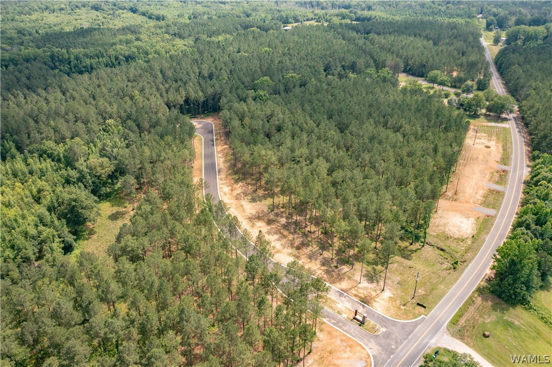 Lot 16 Stormi Way, Berry, Alabama image 4