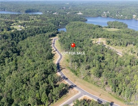 Vacant Land For Sale - 31 Fiji Way<br/> Tuscaloosa, AL 35406
