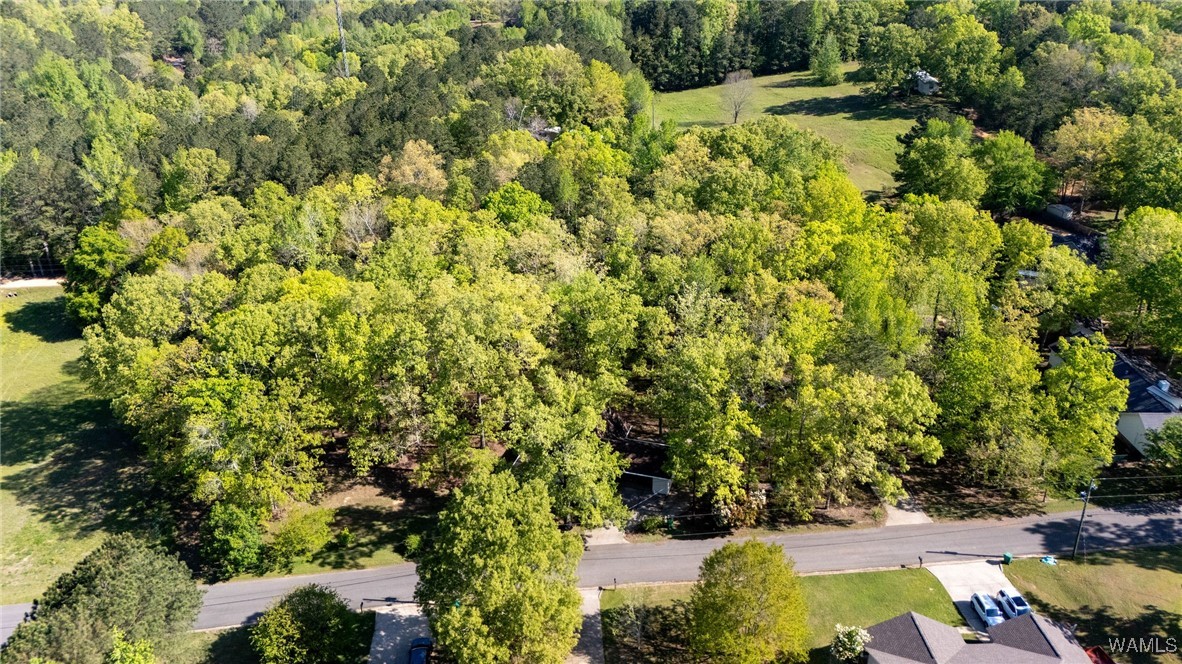 12863 North Country Dr Dr, Tuscaloosa, Alabama image 35