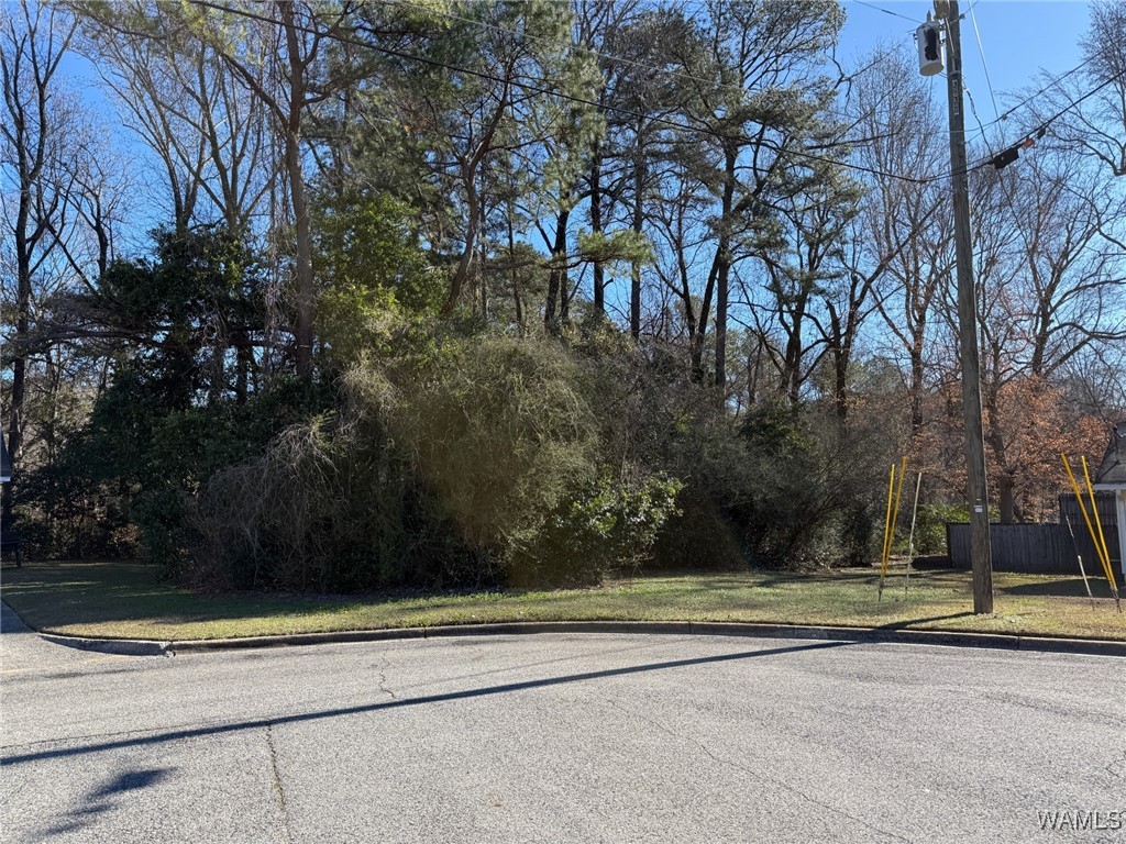 Photo 1 of 1 — 0 Stafford Pl, Tuscaloosa, AL 35405
