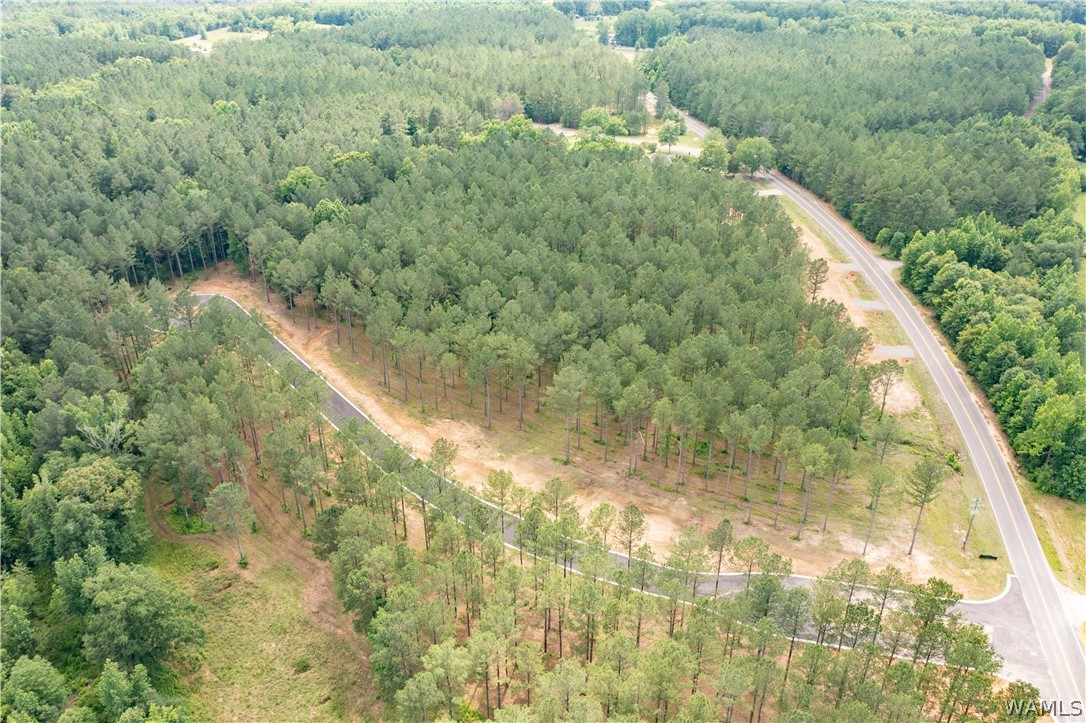 Lot 7 Northside Road, Berry, Alabama image 10