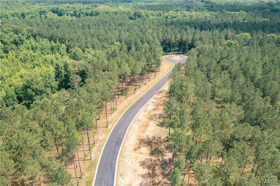 Lot 7 Northside Road, Berry, Alabama image 8