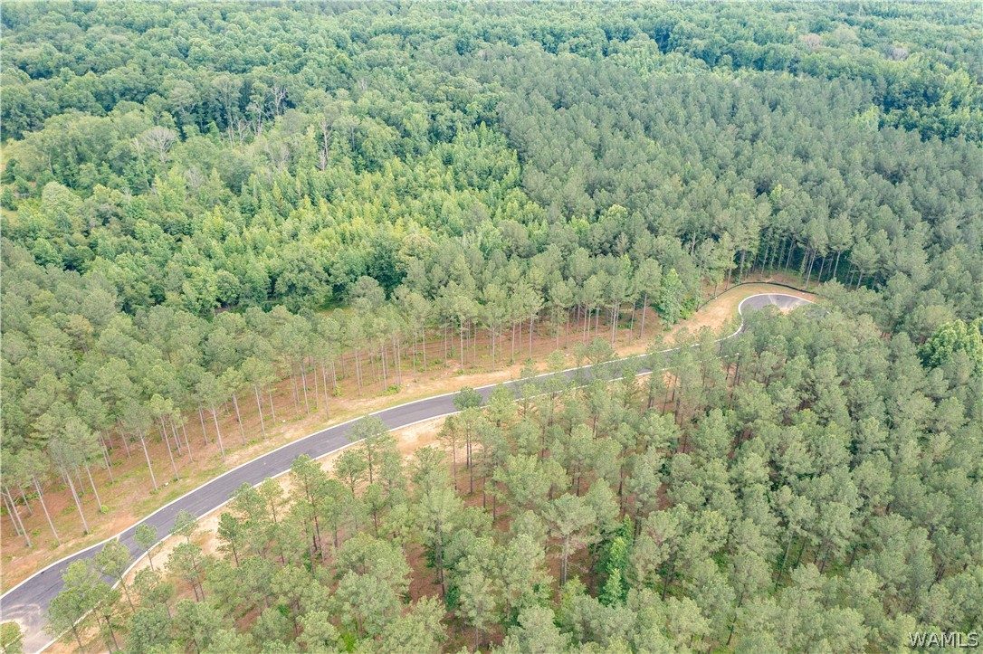 Lot 7 Northside Road, Berry, Alabama image 12