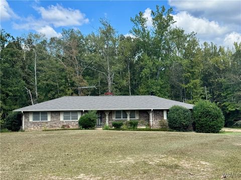 Homes For Sale - 18553 Highway 43 N<br/> North Port, AL 35475