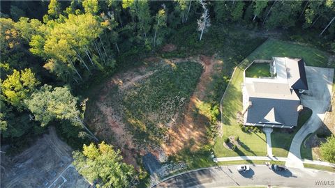 Vacant Land For Sale - 5313 Park Avenue<br/> Tuscaloosa, AL 35406